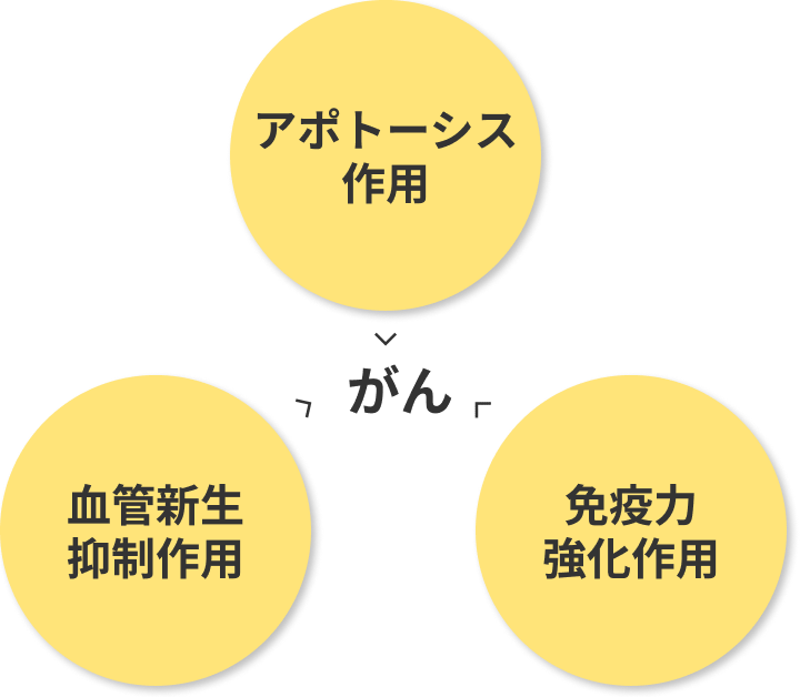 三大作用のイメージ画像